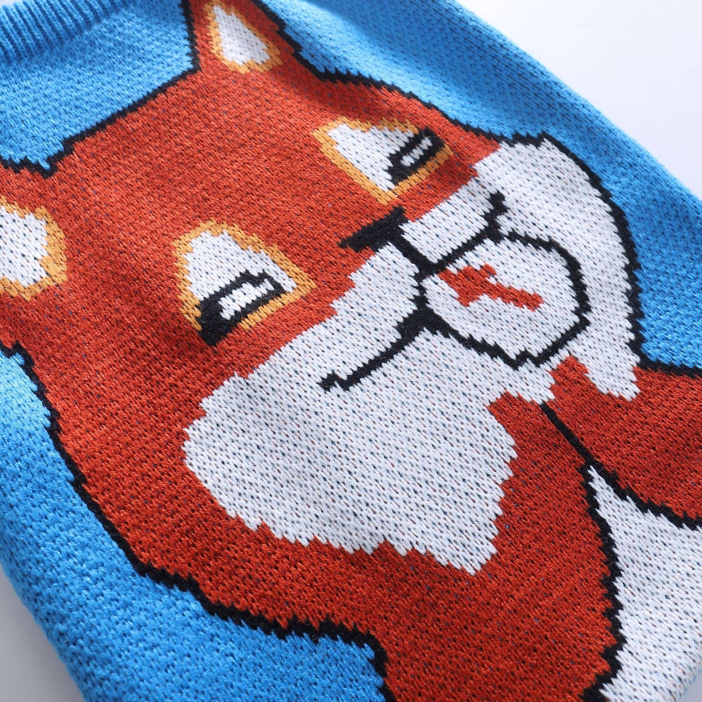 Blue playful fox